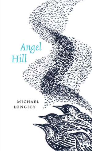 Angel Hill de Michael Longley