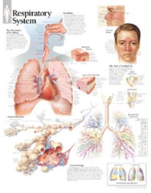 Respiratory System de Scientific Publishing