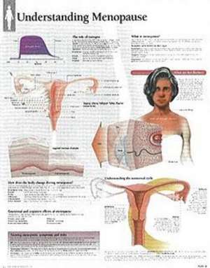 Understanding Menopause Laminated Poster de Scientific Publishing