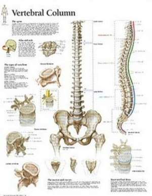 Vertebral Column de Scientific Publishing