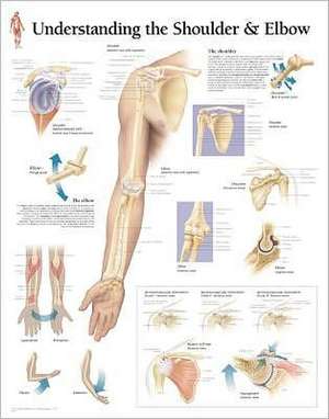 Understanding the Shoulder & Elbow de Scientific Publishing Company