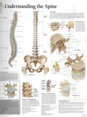 Understanding the Spine Paper Poster de Scientific Publishing