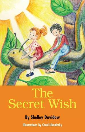 The Secret Wish de Shelley Davidow