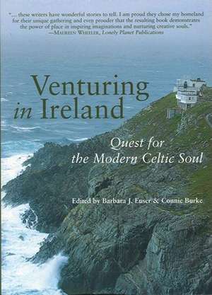 Venturing in Ireland de Barbara J. Euser