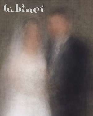Cabinet 15: The Average Issue de Eva Geulen