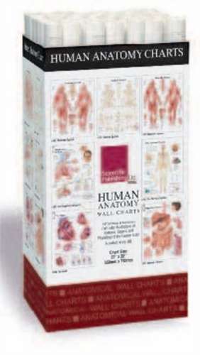 Human Anatomy Charts -- 48 Chart Merchandiser de Scientific Publishing