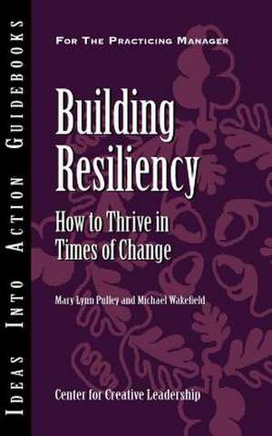 Building Resiliency de Mary Lynn Pulley