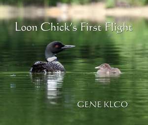 Loon Chick's First Flight: A Unique Study of the Maritime Heritage of the Great Lakes from an Artist's Viewpoint