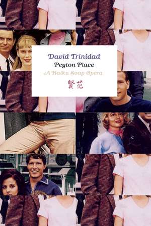 Peyton Place: A Haiku Soap Opera de David Trinidad