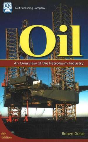 Oil: An Overview of the Petroleum Industry de Robert D. Grace