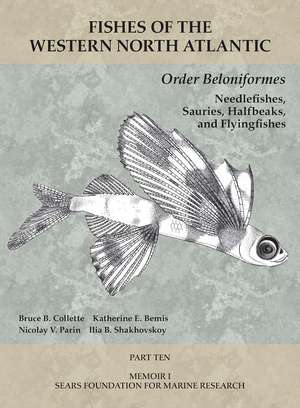 Order Beloniformes: Needlefishes, Sauries, Halfbeaks, and Flyingfishes: Part 10 de Bruce B. Collette