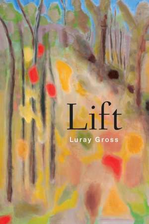 Lift de Luray Gross