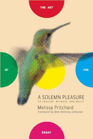 A Solemn Pleasure: To Imagine, Witness, and Write de Melissa Pritchard