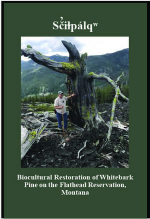 Sãiçpálî: Biocultural Restoration of Whitebark Pine on the Flathead Reservation, Montana de Michael Durglo, Jr.