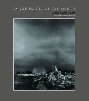 In the Places of the Spirits de David Grant Noble