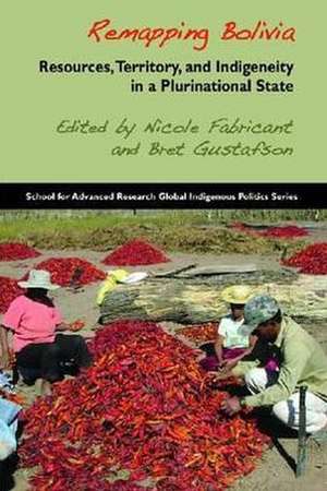 Remapping Bolivia: Resources, Territory, and Indigeneity in a Plurinational State de Nicole Fabricant