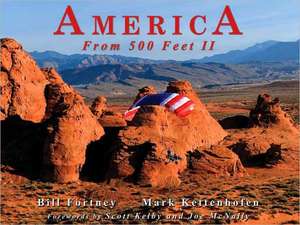 America from 500 Feet II de Bill Fortney