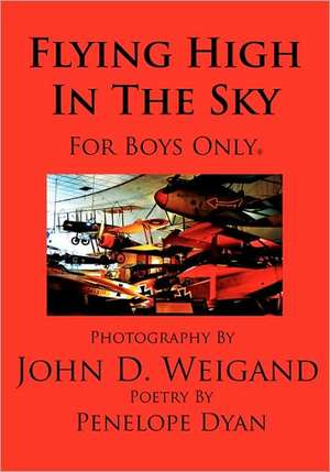 Flying High in the Sky---For Boys Only: Going Whole Hog in a State of Wonder de Penelope Dyan