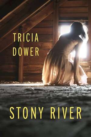 Stony River de Tricia Dower