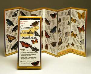 Common Butterflies of the Southeast de Rick Cech