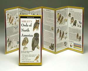 Sibley's Owls of North America de David Sibley