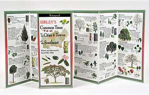 Sibley's Trees of Cities and Towns of the Southeast: The Key to Creating Your Reality de David Sibley