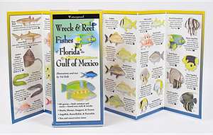 Wreck & Reef Fishes of Florida & Gulf of Mex.: The Key to Creating Your Reality de Val Kells