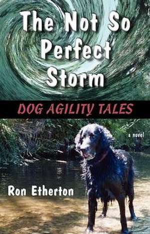 The Not So Perfect Storm de Ron Etherton