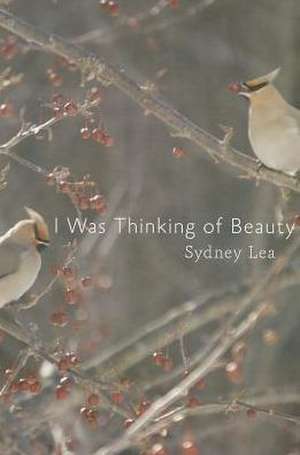 I Was Thinking of Beauty de Sydney Lea