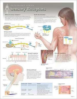 Sensors & Receptors Wall Chart: 8251 de Scientific Publishing