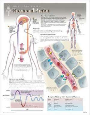 Hormonal Action Wall Chart: 8280 de Scientific Publishing