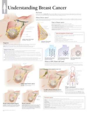 Understanding Breast Cancer de Scientific Publishing