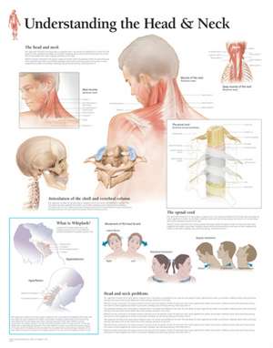 Understanding the Head & Neck de Scientific Publishing