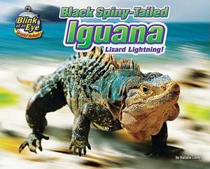 Black Spiny-Tailed Iguana: Lizard Lightning! de Natalie Lunis