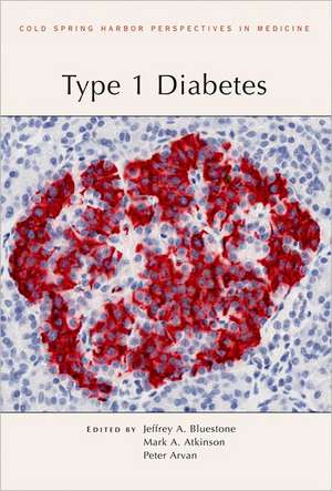 Type 1 Diabetes de Jeffrey A. BlueStone