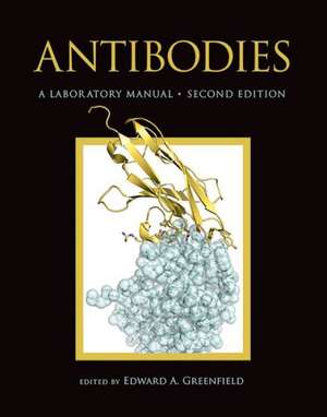 Antibodies a Laboratory Manual, Second Edition: A Laboratory Manual de Edward A Greenfield