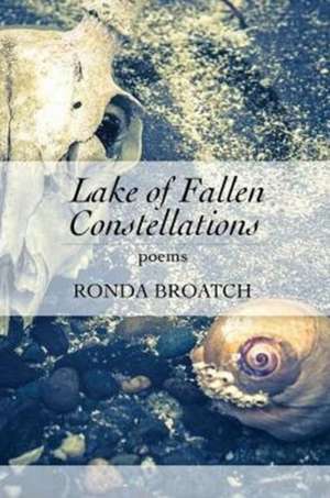 Lake of Fallen Constellations de Ronda Broatch