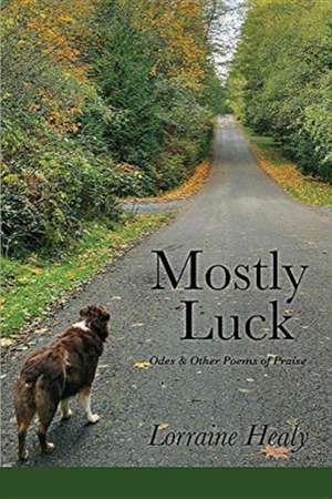 Mostly Luck de Lorraine Healy