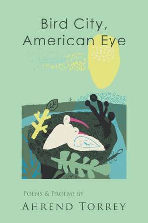 Bird City, American Eye de Ahrend Torrey