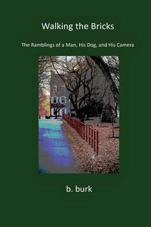 Walking the Bricks de B. Burk