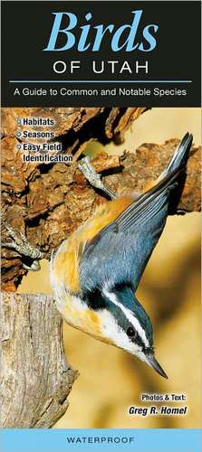 Birds of Utah: A Guide to Common & Notable Species de Greg R. Homel