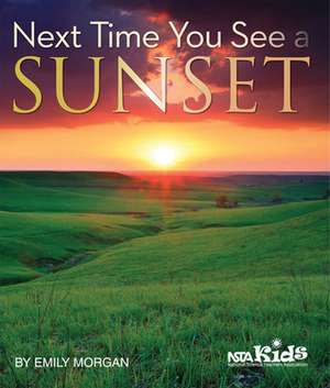 Next Time You See a Sunset de Emily R. Morgan