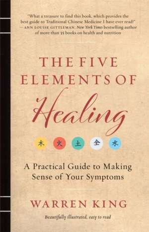 The Five Elements of Healing de Warren King