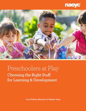 Preschoolers at Play de Lisa Mufson Bresson