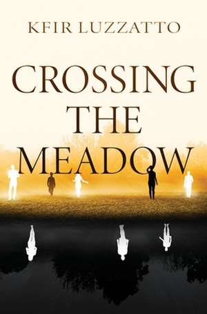 Crossing the Meadow de Kfir Luzzatto