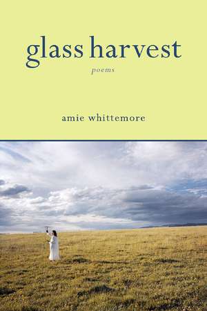 Glass Harvest de Amie Whittemore