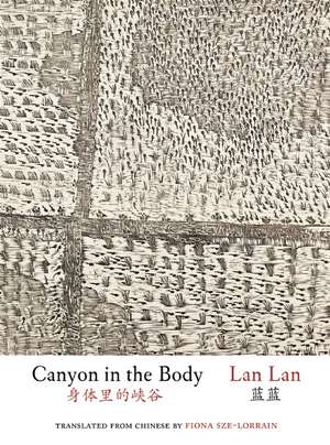 Canyon in the Body de Lan Lan