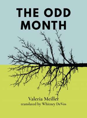 The Odd Month de Valeria Meiller
