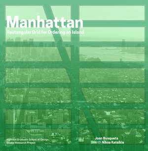 Manhattan Framework de Joan Busquets