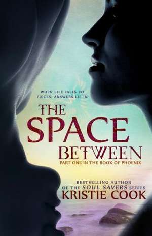 The Space Between: What's Your Game Plan de Kristie Cook